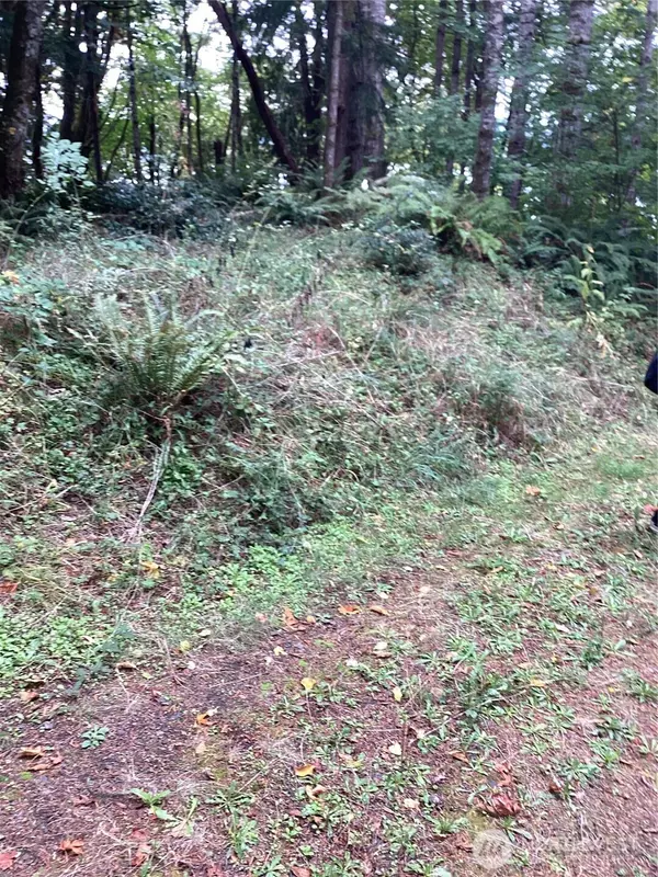 Shelton, WA 98584,21 XX Bloomfield RD