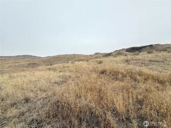 Riverside, WA 98849,161 Weatherstone Rd