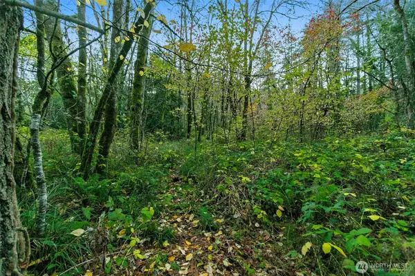 Fox Island, WA 98333,0 Hyak PL