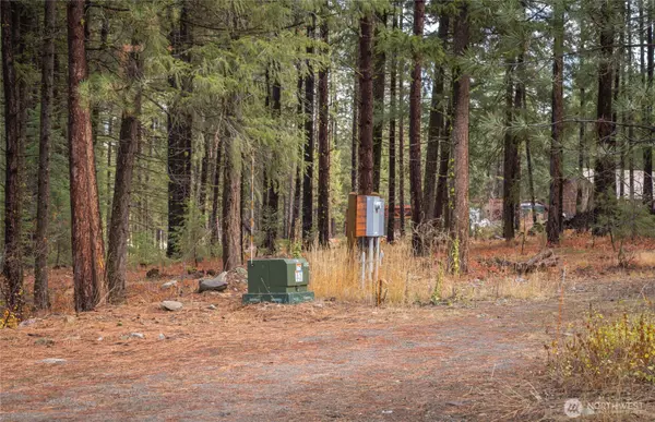 Winthrop, WA 98862,18164 Highway 20