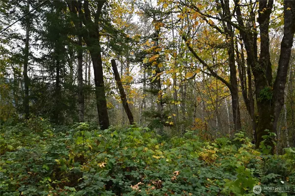 Gold Bar, WA 98251,0 Ley RD