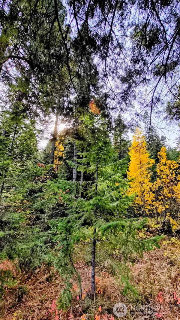 Wenatchee, WA 98801,6299 Alder Ct