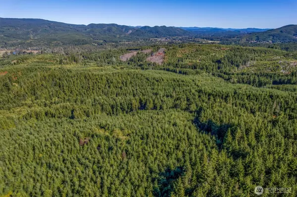 Naselle, WA 98638,6 Parpala RD #6