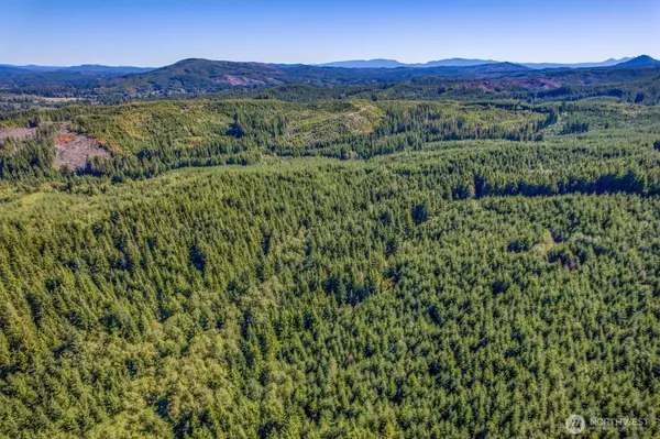 Naselle, WA 98638,6 Parpala RD #6