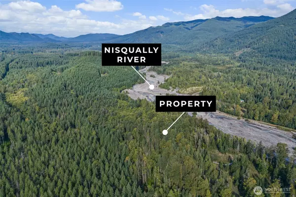 Morton, WA 98356,1 Skate Creek RD N