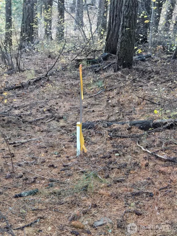 Cle Elum, WA 98922,680 Horse Heaven Rd