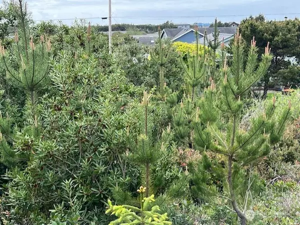 Ocean Park, WA 98640,30507 K PL