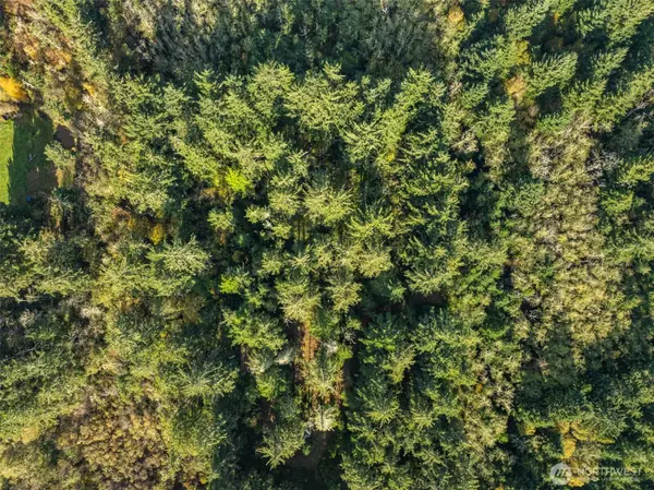 Long Beach, WA 98631,2 147th PL