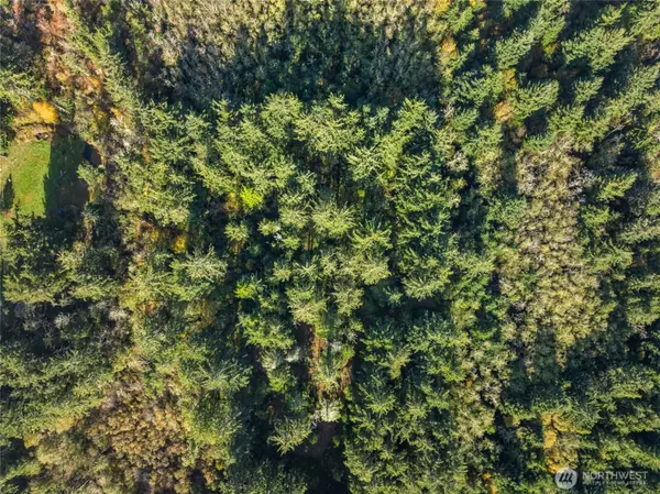 Long Beach, WA 98631,0 147th ST