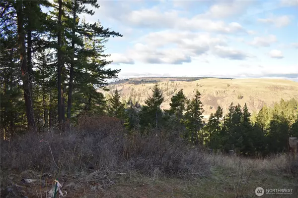 Cle Elum, WA 98922,241 Morrison Canyon Lane