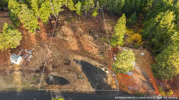 Cle Elum, WA 98922,0 Morrison Canyon Lane