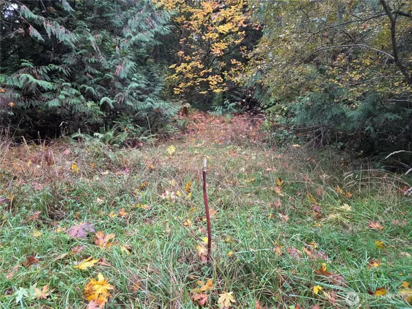 Olympia, WA 98502,8721 Salty DR NW