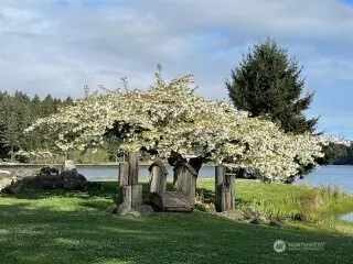 Anderson Island, WA 98303,11307 114th Street Ct