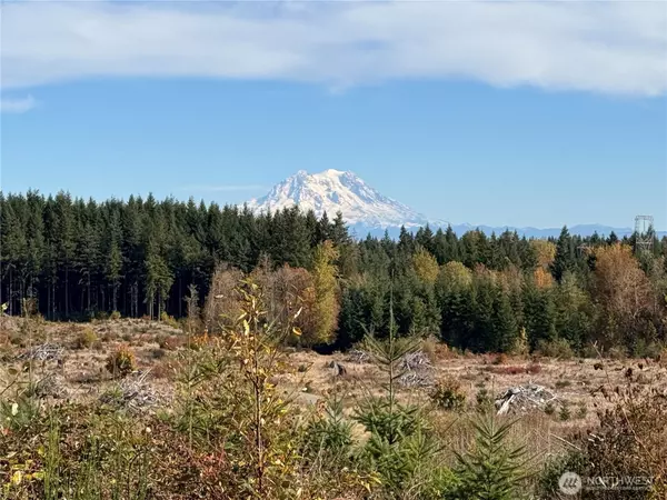 Rainier, WA 98576,132 xx Algyer RD SE
