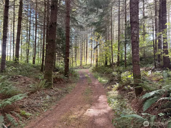 Rainier, WA 98576,132 xx Algyer RD SE