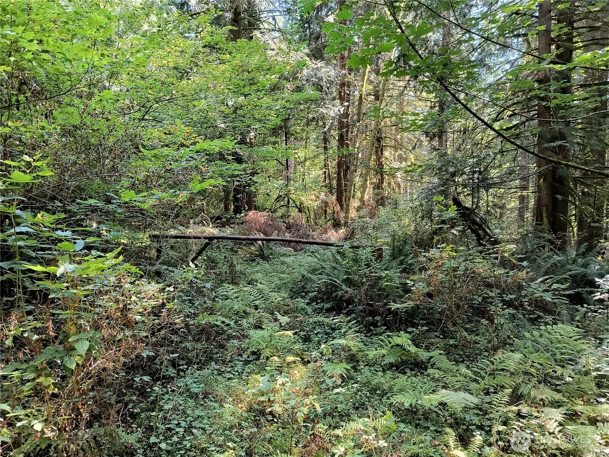 Monroe, WA 98272,300000 Draggart