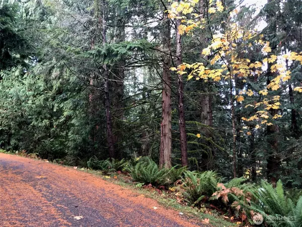 Bellingham, WA 98229,15 Wintercress WAY