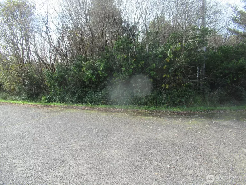 16 Driftwood DR, Ocean Shores, WA 98569