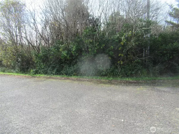 16 Driftwood DR, Ocean Shores, WA 98569