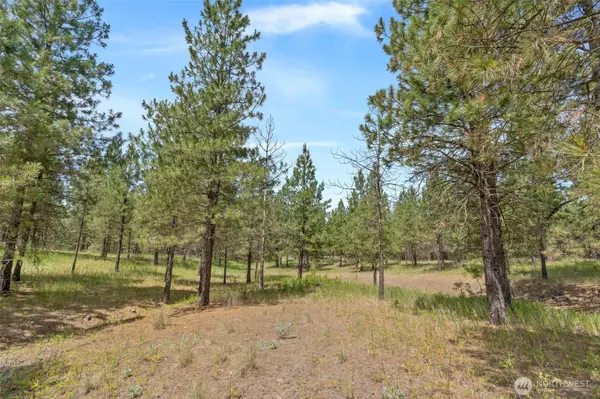 Ford, WA 99013,5285 Hwy 231 #D