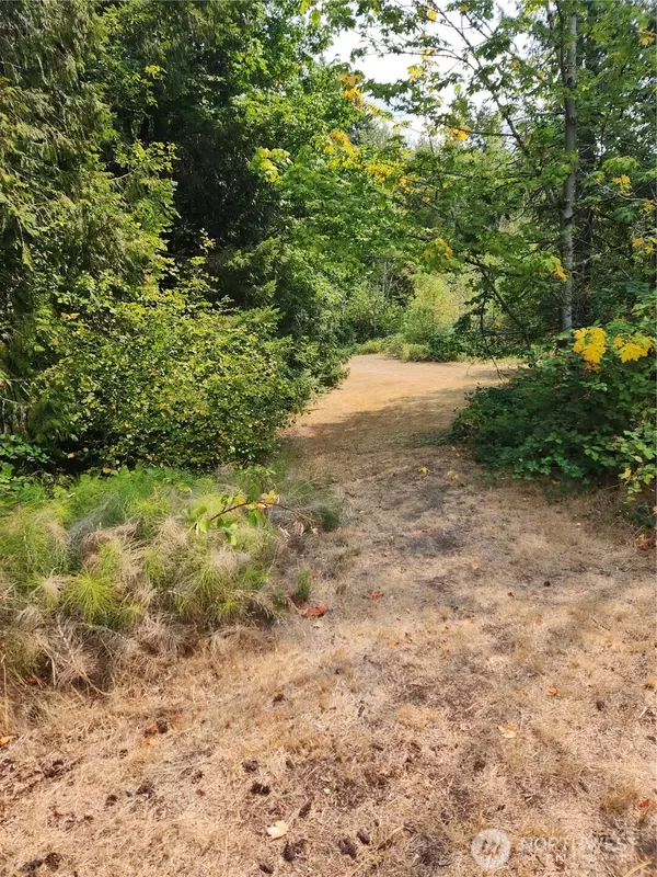 Silverlake, WA 98645,0 Sliver Cove DR