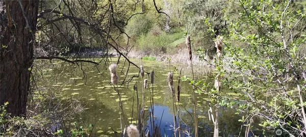 Peshastin, WA 98847,8010 Green Rd