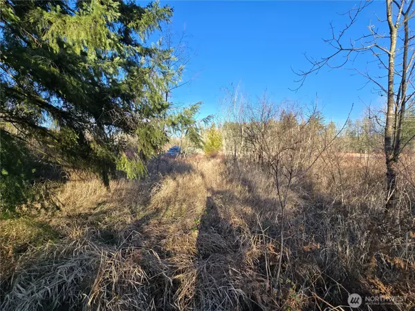 Eatonville, WA 98328,40310 Eatonville Cutoff RD