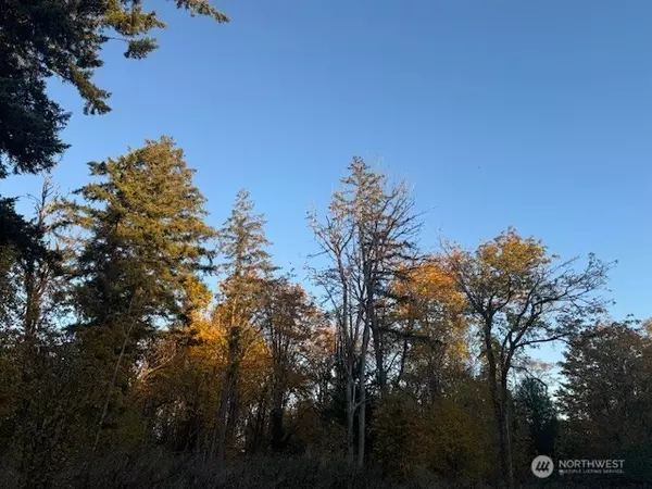 Auburn, WA 98001,36844 52ND AVE S #L