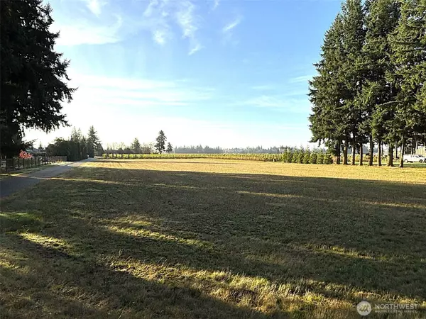 0 Loomis Trail Rd, Lynden, WA 98264