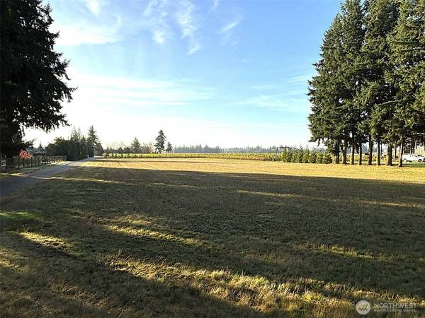 0 Loomis Trail Rd, Lynden, WA 98264