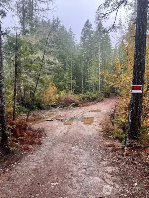 0 Tract 15 Dewatto Hills RD, Belfair, WA 98528