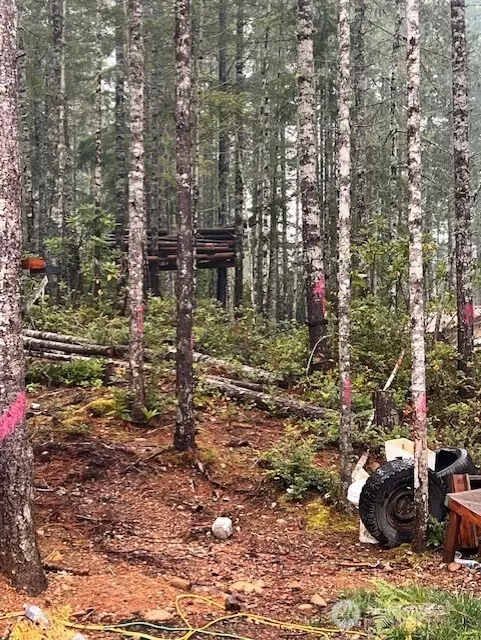 Belfair, WA 98528,0 Tract 15 Dewatto Hills RD