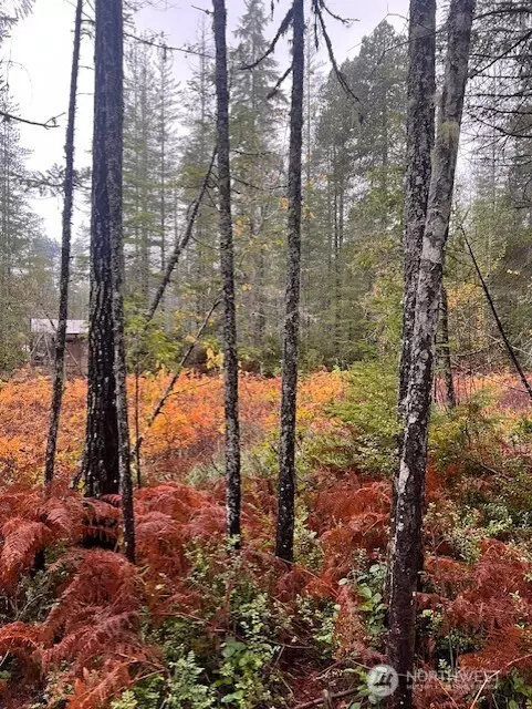 Belfair, WA 98528,0 Tract 15 Dewatto Hills RD