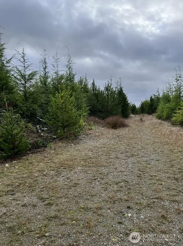 Humptulips, WA 99353,0 0