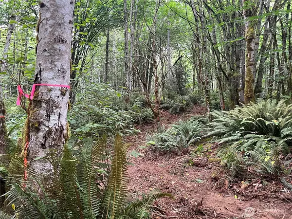 Poulsbo, WA 98370,2 XX Scenic DR