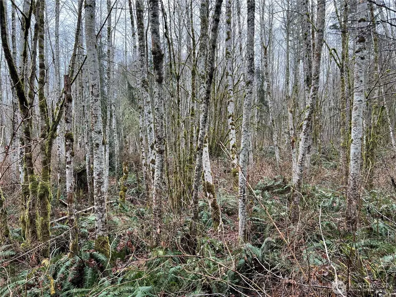 3 XX Scenic DR, Poulsbo, WA 98370