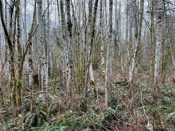 3 XX Scenic DR, Poulsbo, WA 98370