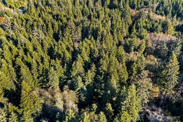 South Bend, WA 98596,0 Lot 35 Bay Lane