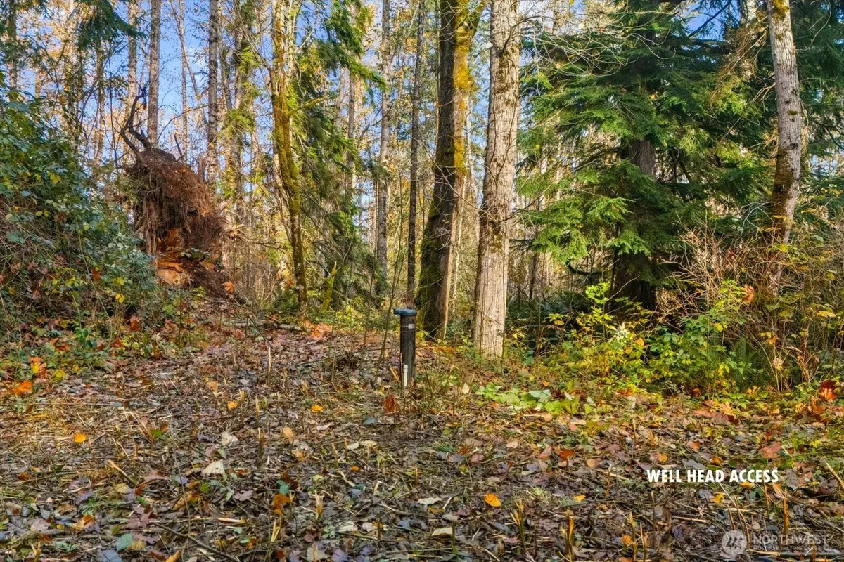 Snohomish, WA 98290,15 xxx Brookside PL