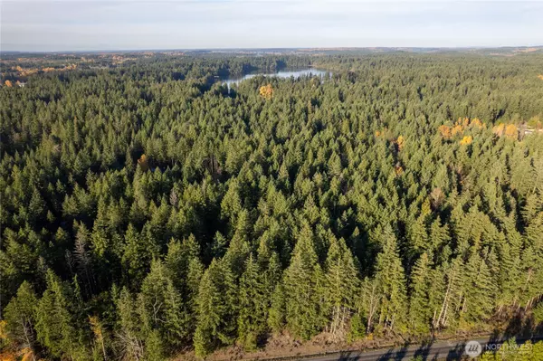 Yelm, WA 98597,0 Bald Hills RD