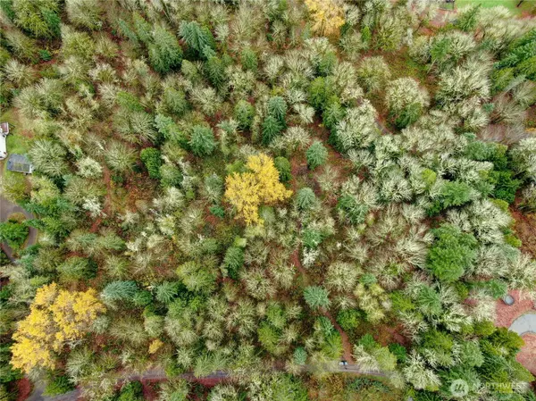 29411 NE 178th PL, Duvall, WA 98019