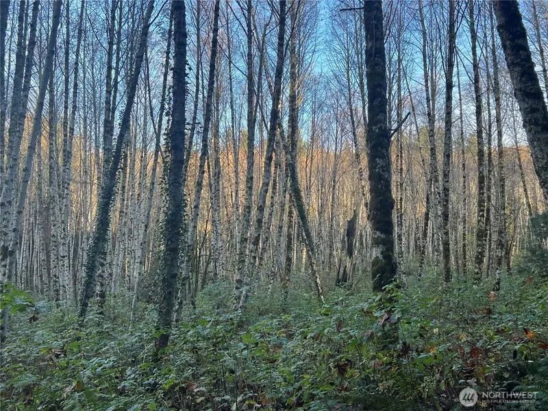 1 XX View DR NE, Poulsbo, WA 98370