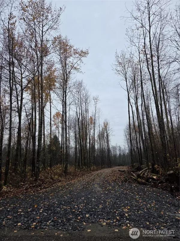 Blaine, WA 98230,0 xxx H ST