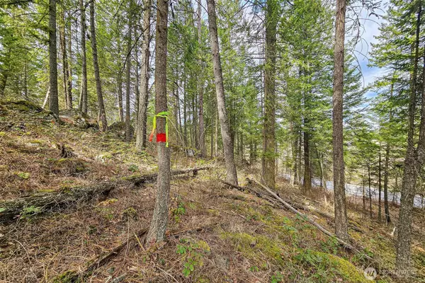 Chattaroy, WA 99003,4700 E Deer Park Milan RD