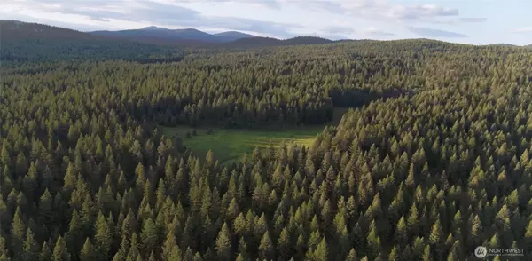 Wauconda, WA 98855,0 Mount Annie Road