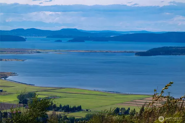 Bow, WA 98232,3120 Blanchard Knob TRL