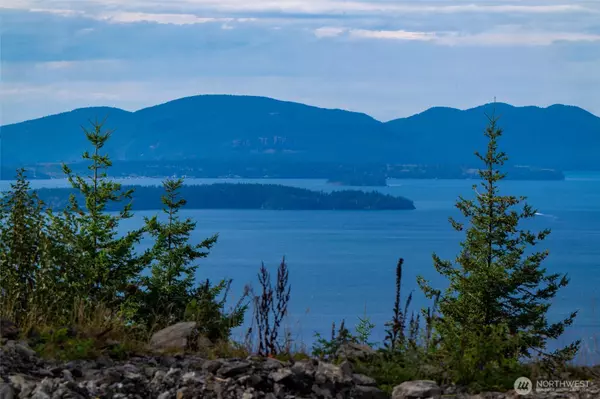 Bow, WA 98232,3100 Blanchard Knob TRL