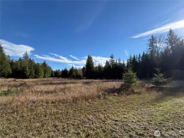 Randle, WA 98377,138 Shelton RD