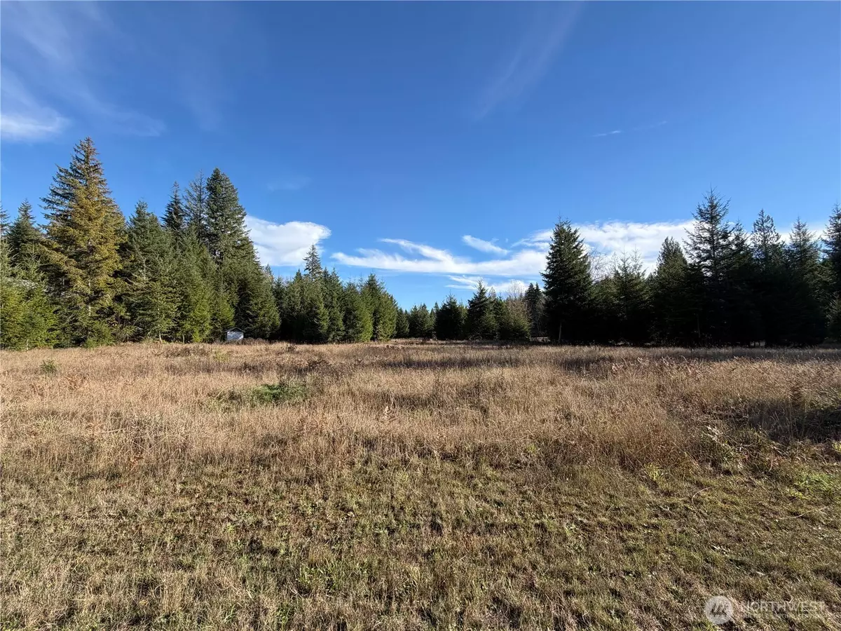 Randle, WA 98377,138 Shelton RD