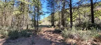 Creston, WA 99147,25999 Skyview PL E